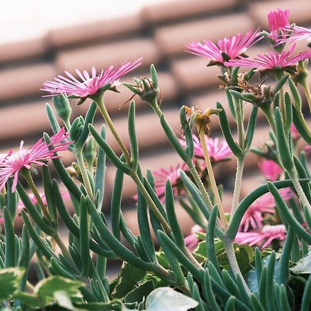 Comecasa Flowery Terraced Apartment Milaan Buitenkant foto